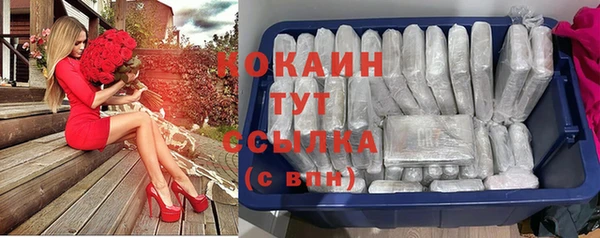 стафф Аркадак
