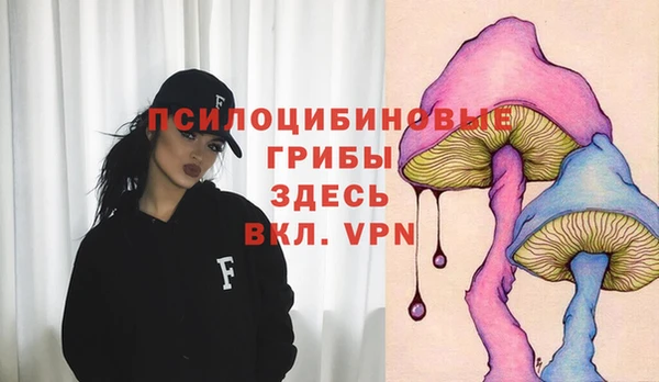 стафф Аркадак