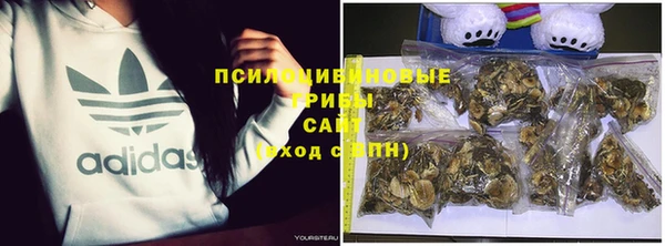 стафф Аркадак