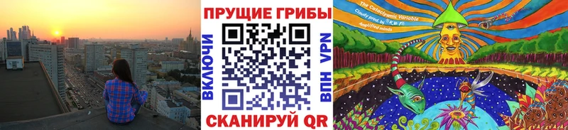 Галлюциногенные грибы мухоморы  Пудож 